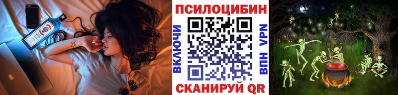 omg сайт  Усмань  Псилоцибиновые грибы GOLDEN TEACHER 